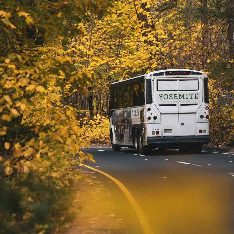 Sortie en car à l'asinerie de Pierretoun et la Bastide-Clairence