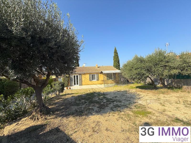 Viager - Maison - 85 m² - 4 pièces