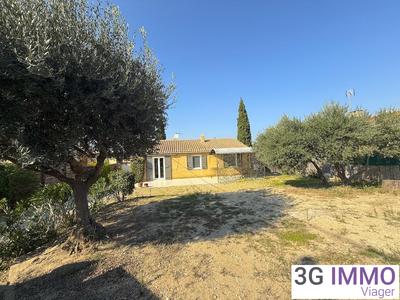 Viager - Maison - 85 m² - 4 pièces