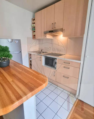 Studio - 29 m² - 1 pièce