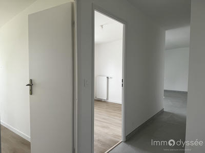 Appartement - 55 m² - 3 pièces