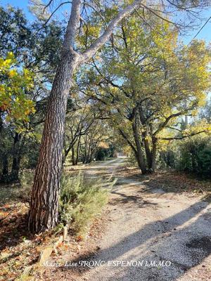 Villa - 194 m² - 7 pièces