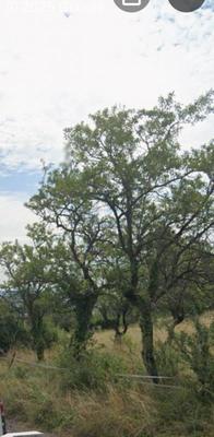 Maison - 94 m² - 5 pièces