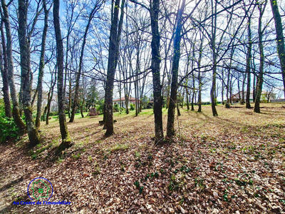 Villa - 88 m² - 4 pièces