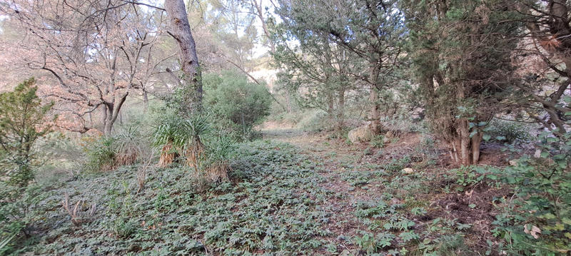 Maison - 185 m² - 7 pièces