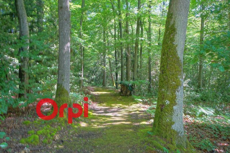 Maison - 135 m² - 4 pièces