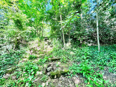 Maison - 252 m² - 8 pièces