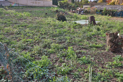 Terrain - 659 m²