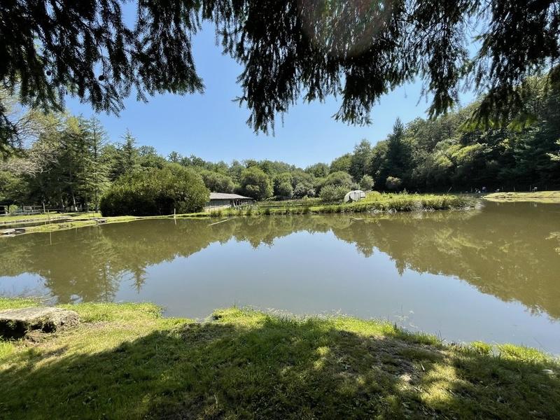 Maison ancienne - 50 m² - 3 pièces