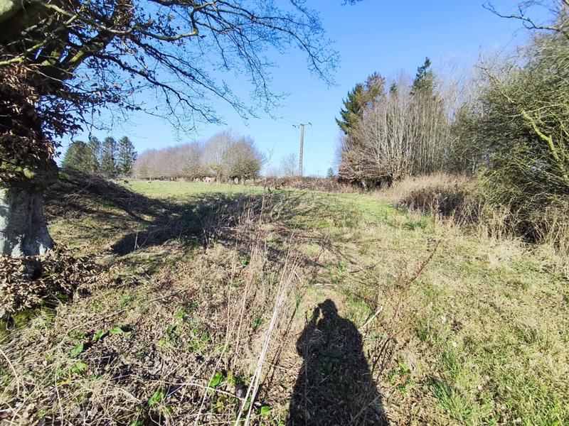 Terrain - 12 000 m²