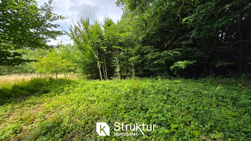 Terrain - 1 831 m²