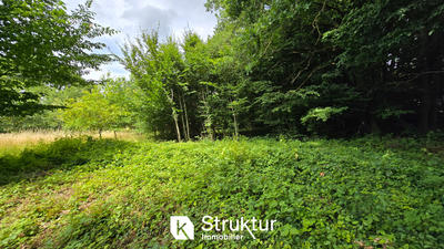 Terrain - 1 831 m²