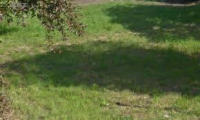 Terrain constructible - 743 m²