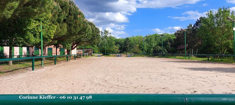 Haras - 300 m² - 4 pièces