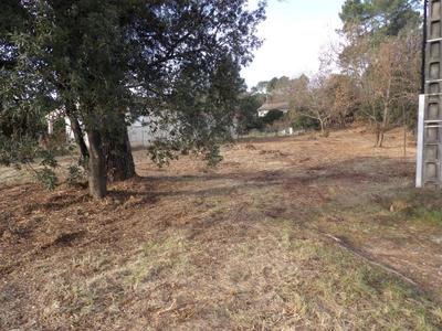 Terrain - 2 514 m²