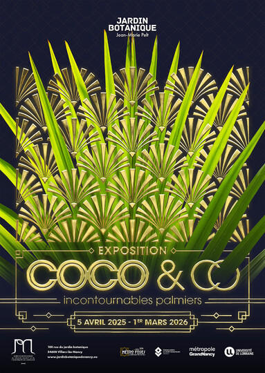 Exposition - Coco and Co
