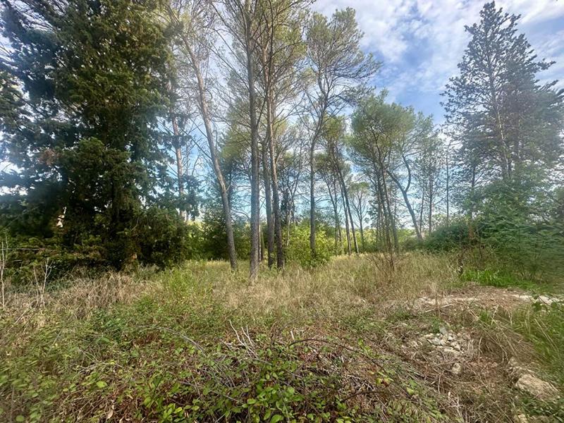 Terrain constructible - 1 041 m²