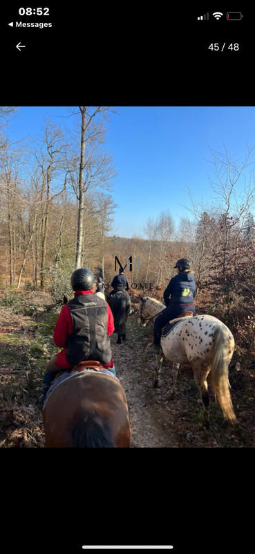 Maison ancienne - 180 m² - 8 pièces