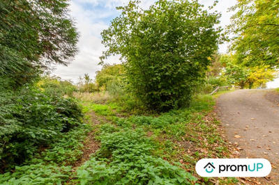 Terrain de loisirs - 1 600 m²