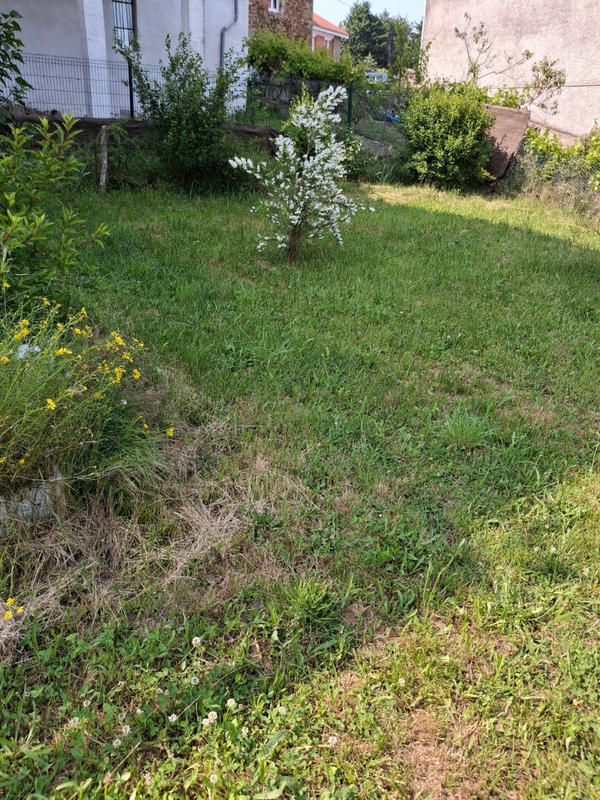 Local commercial - 292 m²