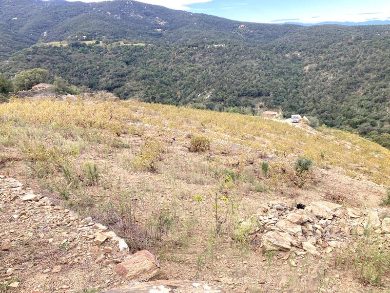 Terrain agricole - 10 846 m²