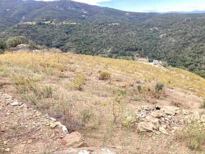 Terrain agricole - 10 846 m²