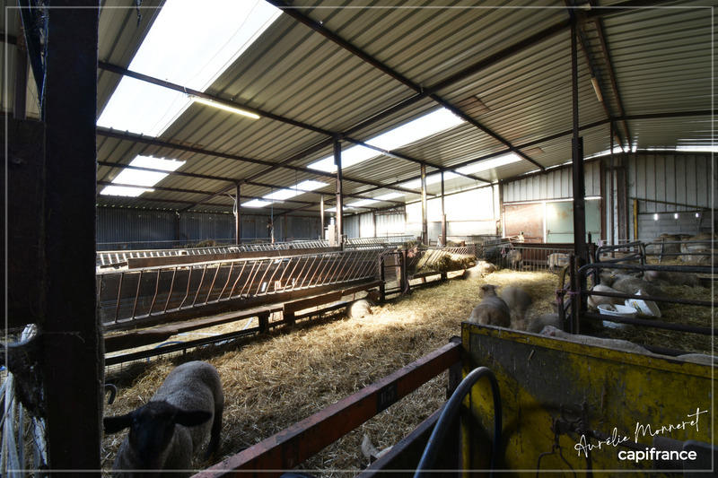 Corps de ferme - 122 m² - 6 pièces