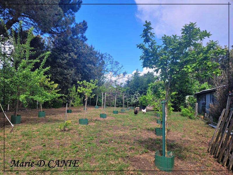 Maison - 113 m² - 4 pièces