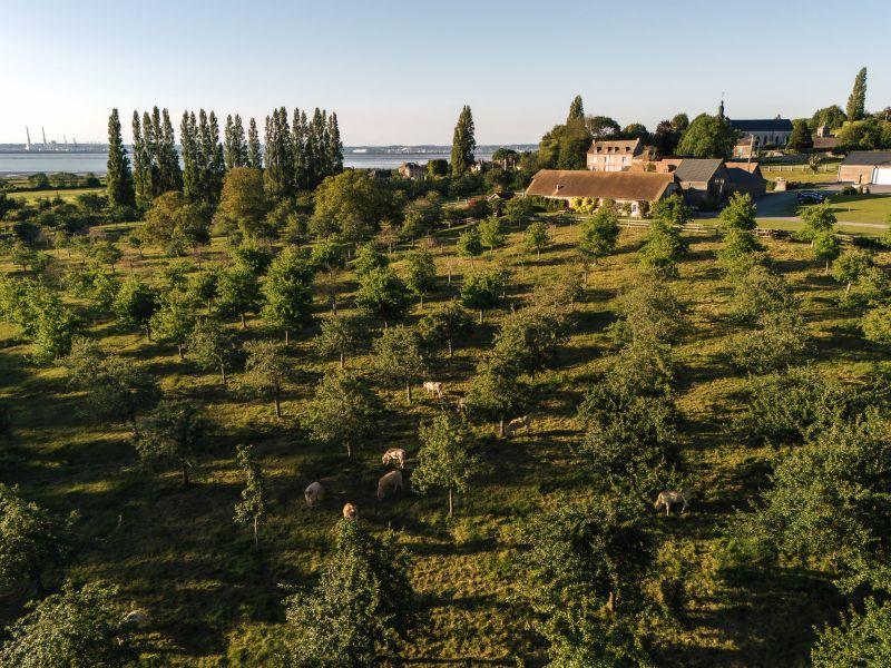 Les Incontournables de l'été au Manoir d'Apreval