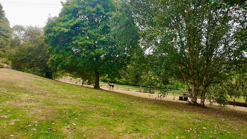 Maison - 268 m² - 8 pièces