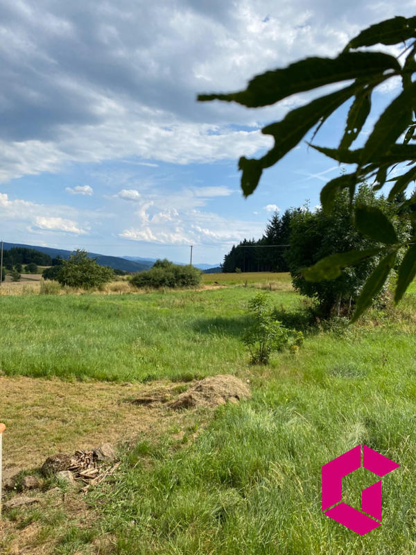 Maison - 175 m² - 6 pièces