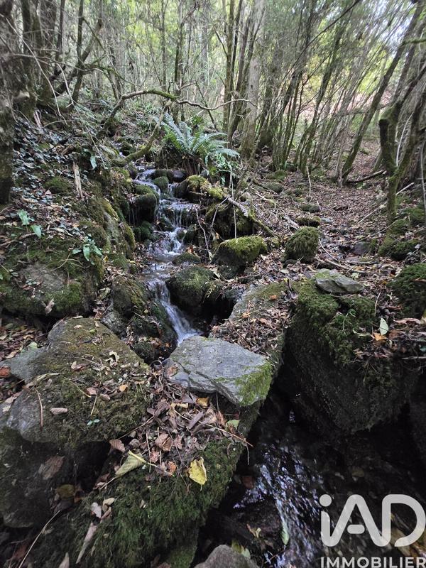 Terrain agricole - 3 915 m²