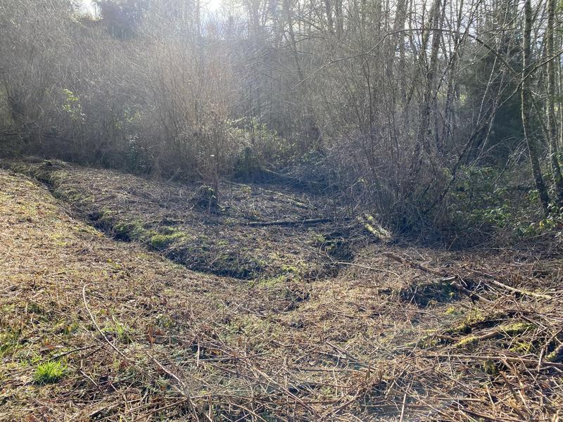 Maison ancienne - 170 m² - 5 pièces