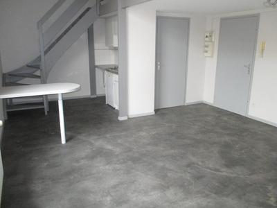 Appartement - 50 m² - 1 pièce
