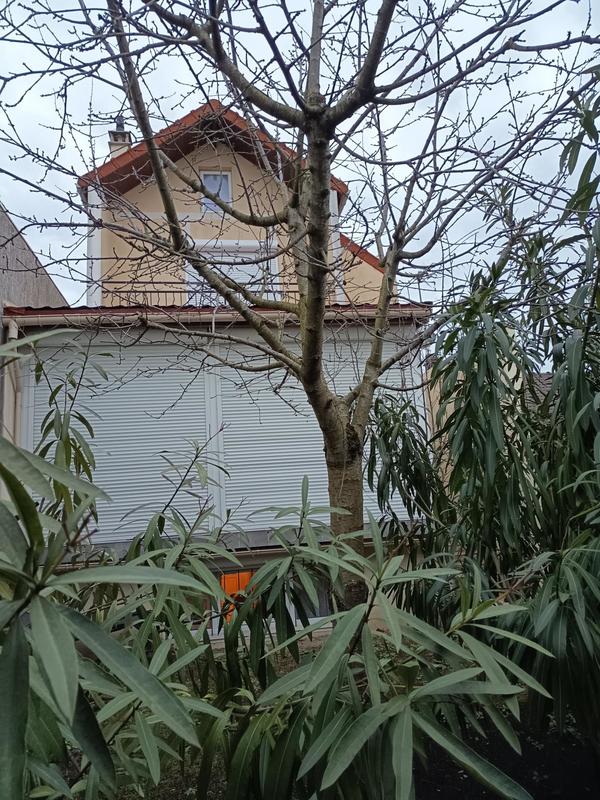 Maison de ville - 134 m² - 8 pièces