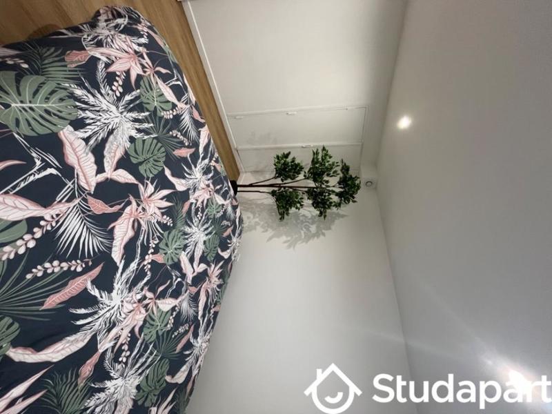 Chambre - 9 m² - 1 pièce