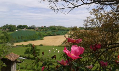 Musée de la Chalosse
