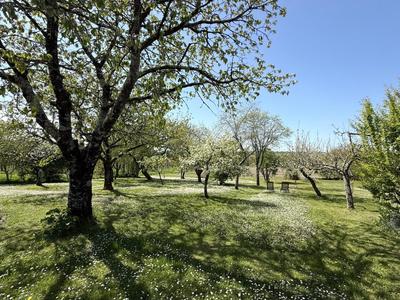 Maison - 294 m² - 10 pièces