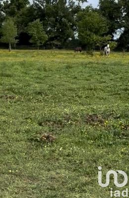 Terrain agricole - 40 759 m²