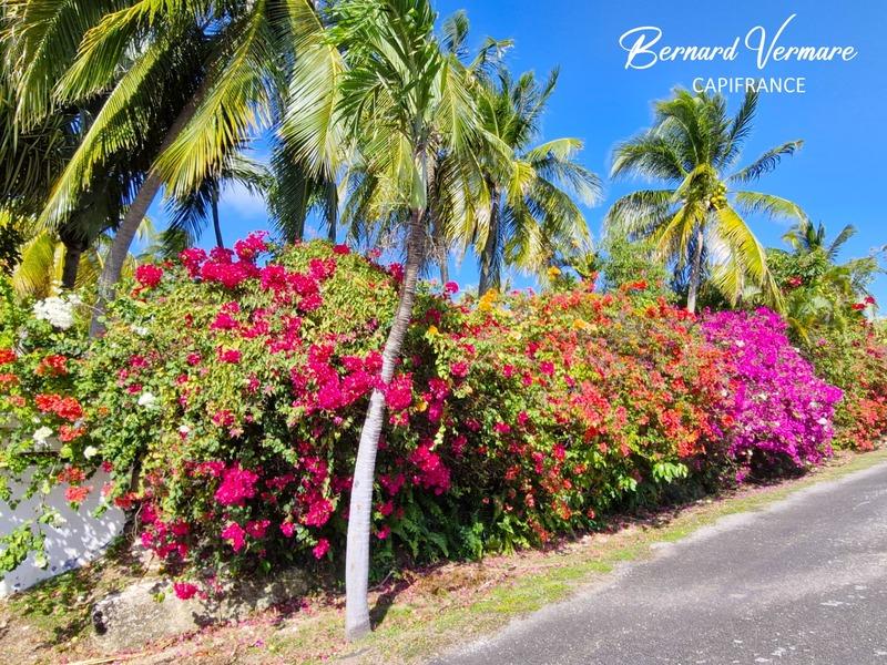 Bungalow - 135 m² - 9 pièces