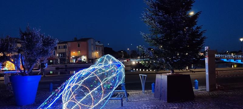 Inauguration des illuminations de Noël