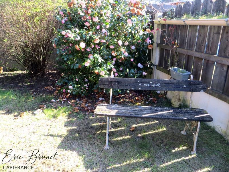 Maison - 59 m² - 2 pièces