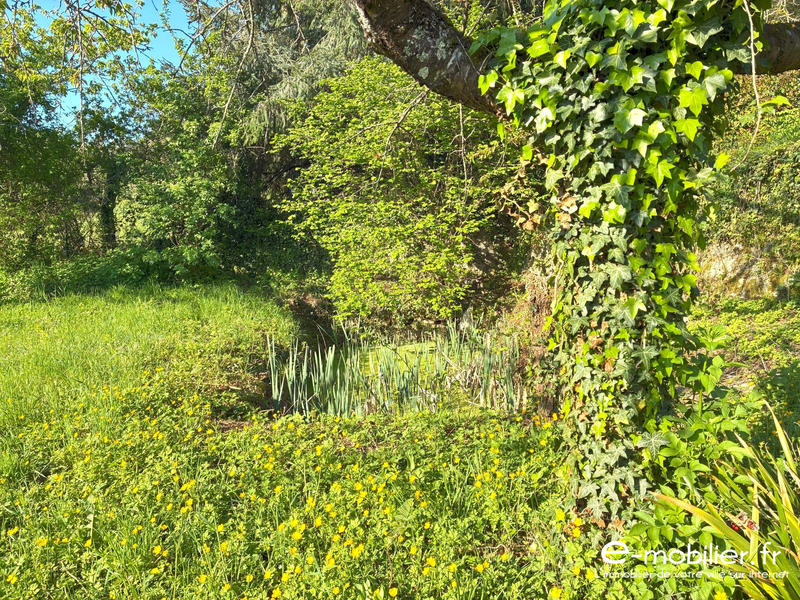 Maison ancienne - 220 m² - 9 pièces