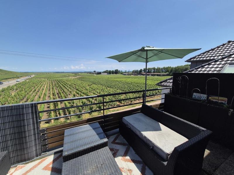 Studio - 48 m² - 1 pièce