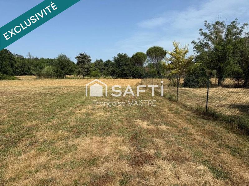 Terrain - 1 393 m²