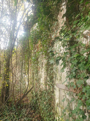 Maison - 215 m² - 3 pièces