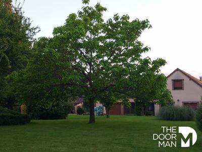 Propriété - 303 m² - 9 pièces