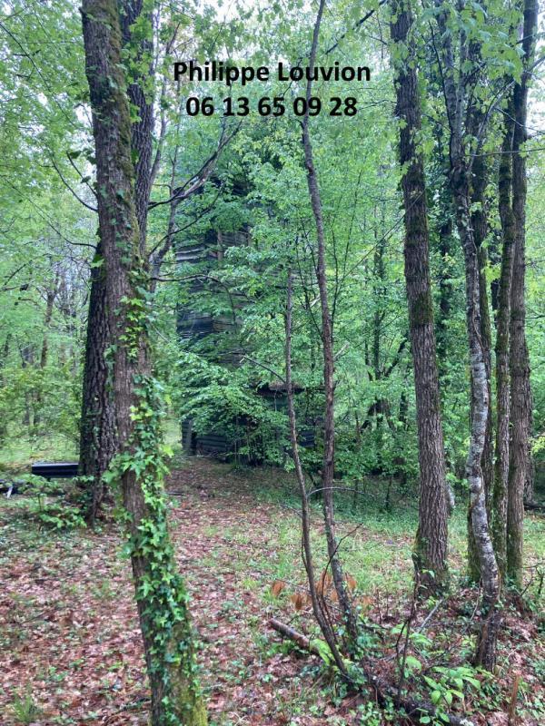 Forêt - 8 390 m²