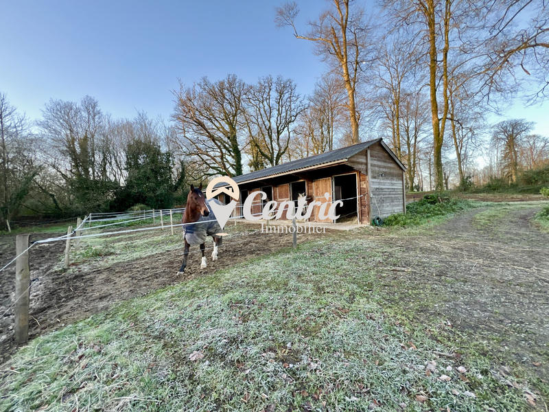 Château - 260 m² - 10 pièces