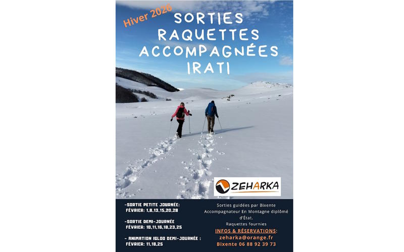 Sortie raquettes en demi-journée